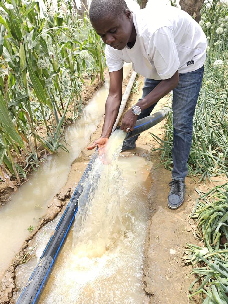 Deployment of Irrigation service in Jigawa State.